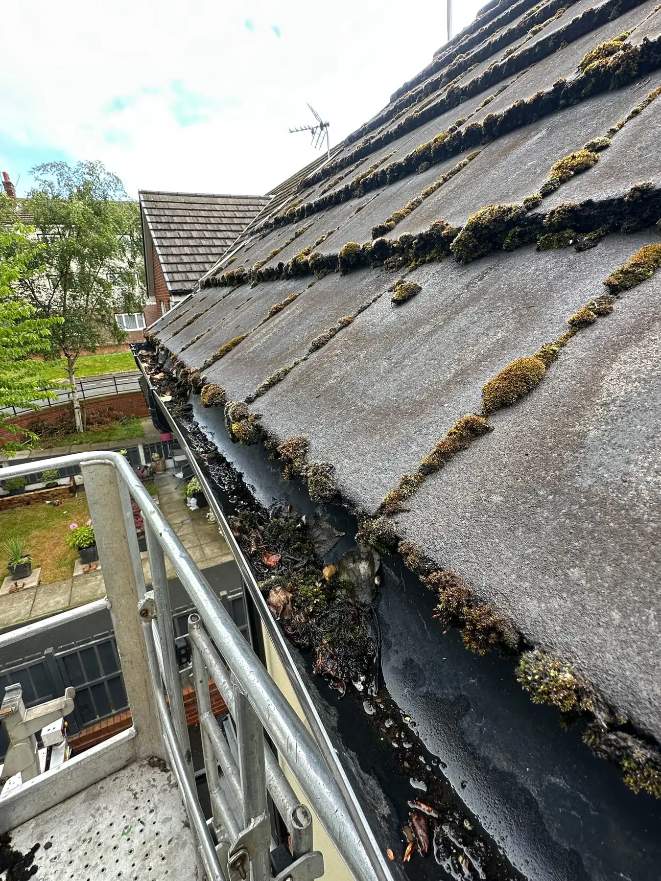 Gutter Cleaning — before